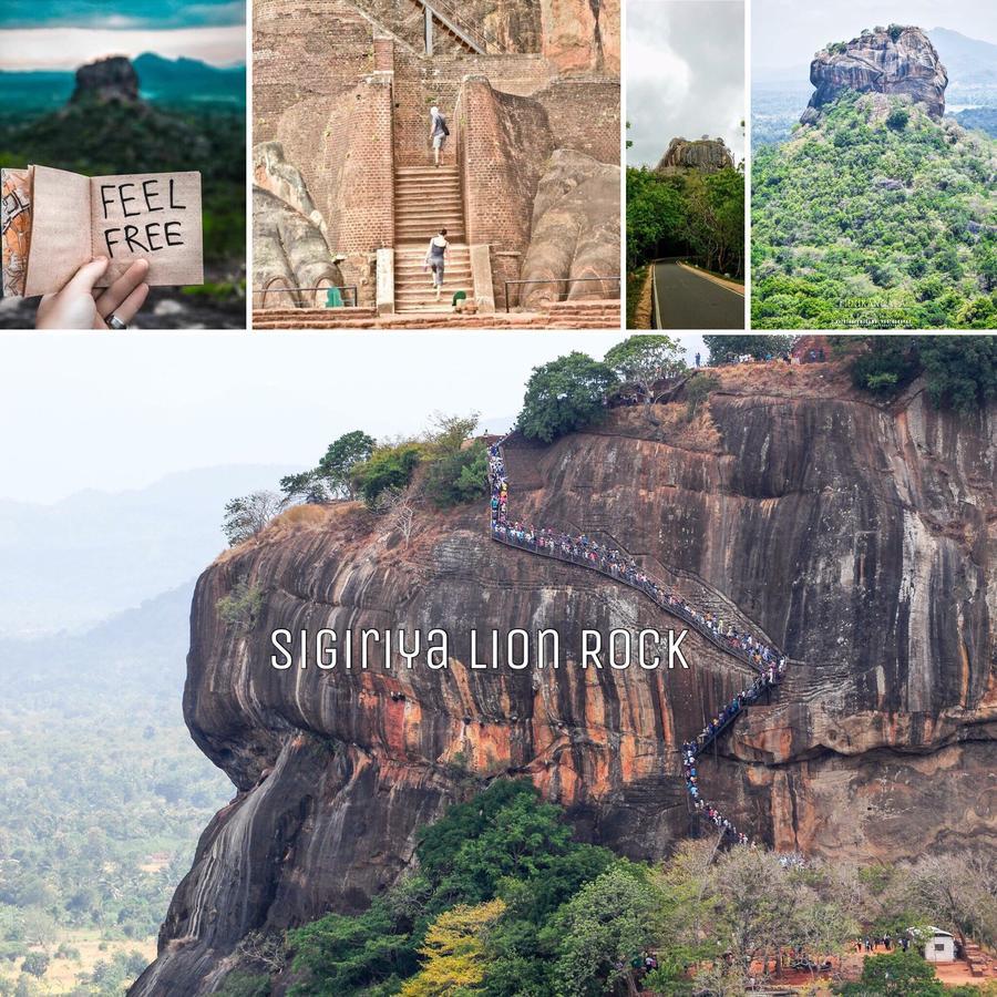 Sigiri Rainbow Lodge Sigiriya Exterior foto