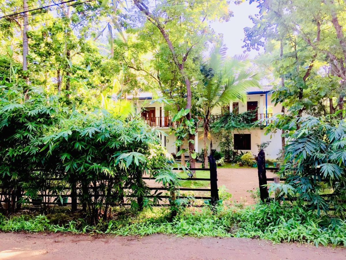 Sigiri Rainbow Lodge Sigiriya Exterior foto